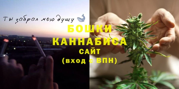 мет Бородино