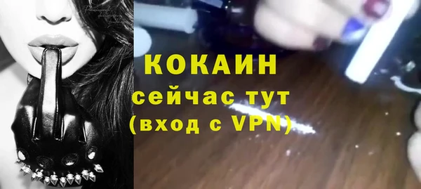 мет Бородино