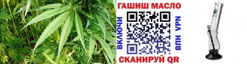 MEGA как войти  Тара  ТГК жижа 